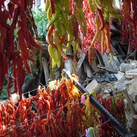 Photo de Turquie - Le charmant village de Sirince